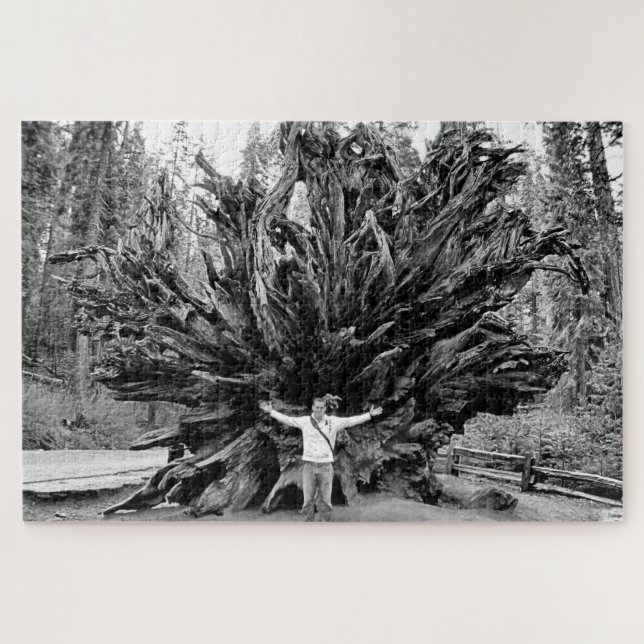 Puzzle Tronc Arbre de Sequioa Large Angle - 20x30 - 1014  (Horizontal)