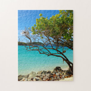 Puzzle tropical de St John USVI de baie de
