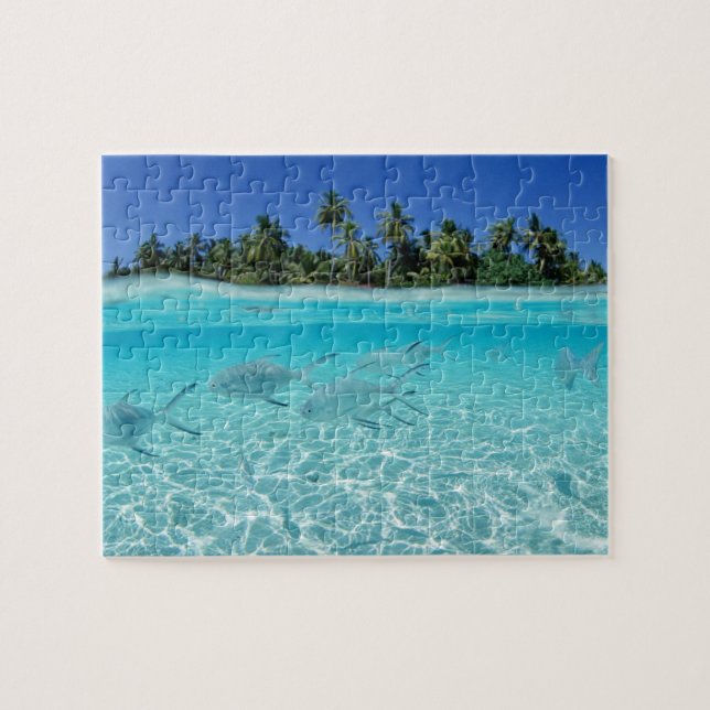 Puzzle Tropical Fish (Horizontal)
