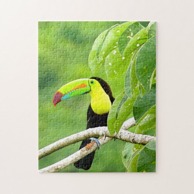 Puzzle Tropical Toucan (Vertical)
