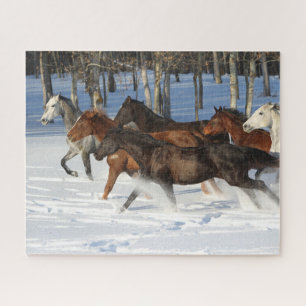 Puzzle Troupeau De Chevaux De Trakehner Courant Dans La N