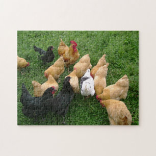 Puzzle Troupeau de poules de coqs de poulets
