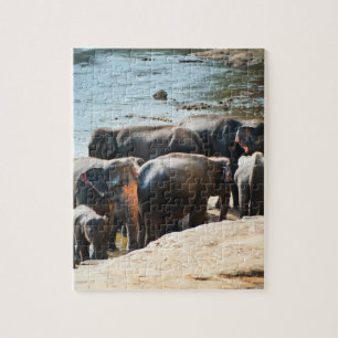 Puzzle Troupeau d'éléphants avec bébé dans l'eau