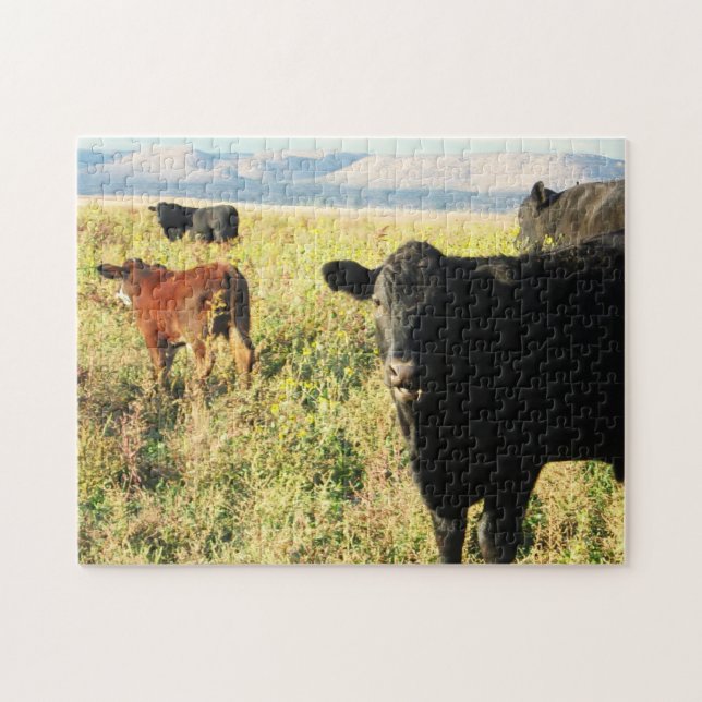 Puzzle Troupeau rouge et noir de veau de vache - jeunes (Horizontal)