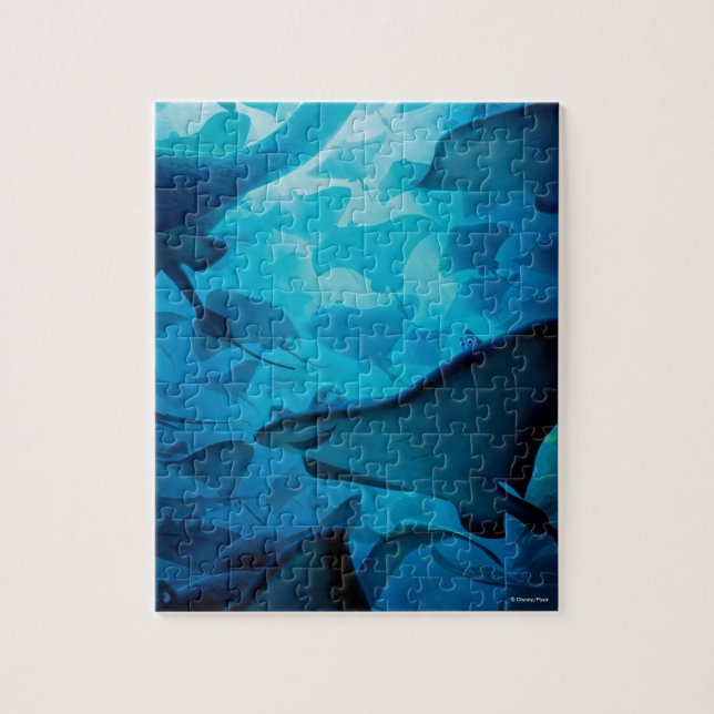 Puzzle Trouver Dory | Masquer et rechercher - Rayons (Vertical)