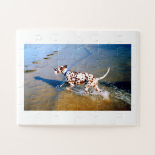 Puzzle Trouvez le chien dalmate