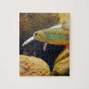 Puzzle Truite de ruisseau
