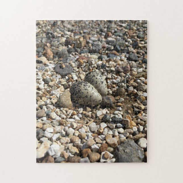 Puzzle Tuer Des Oeufs Dans Le Gravel (Vertical)