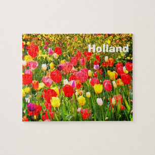 Puzzle Tulipe aux Pays-Bas