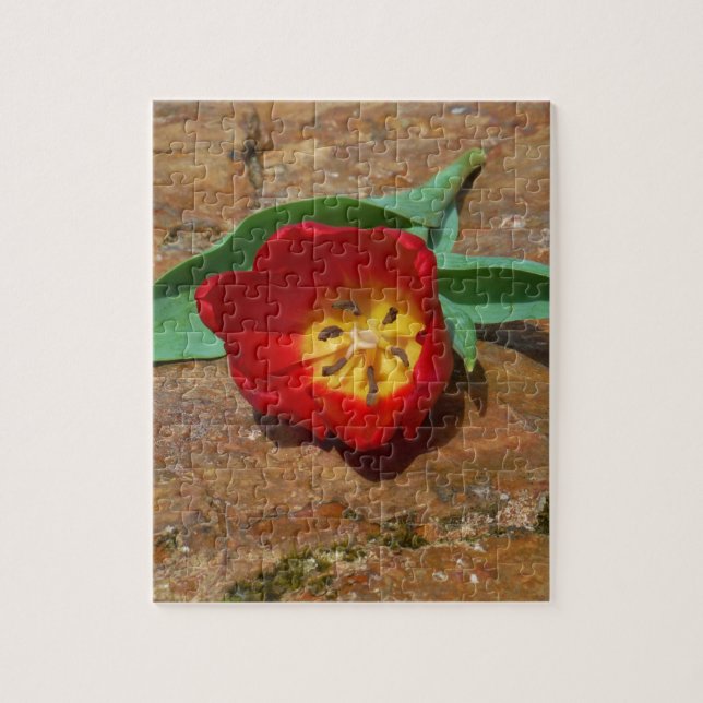 Puzzle Tulipe rouge du printemps (Vertical)