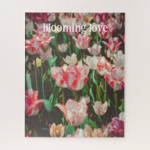 Tulipes à franges roses de style vintage