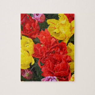 Puzzle Tulipes à ressort rouge et jaune