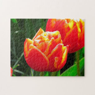 Puzzle Tulipes d'Amsterdam.