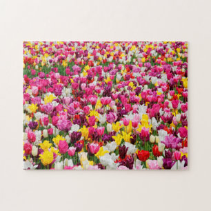 Puzzle Tulipes d'Amsterdam.