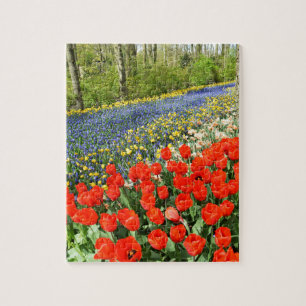 Puzzle Tulipes dans les bois