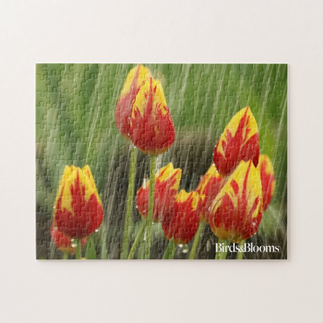 Puzzle Tulipes de ressort (Horizontal)