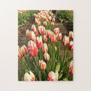 Puzzle Tulipes Happy Generation