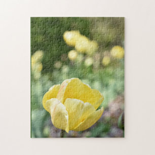Puzzle Tulipes jaunes Regent's Park Flowers Londres Angle