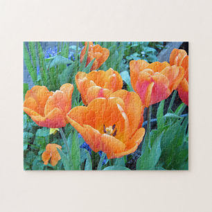 Puzzle Tulipes orange