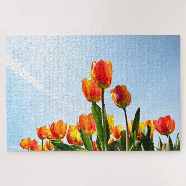Puzzle Tulipes oranges et rouges de dessous (Horizontal)