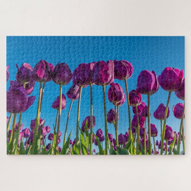 Puzzle Tulipes pourpres (Horizontal)