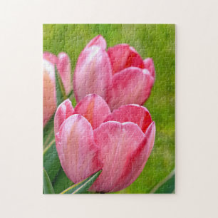 Puzzle Tulipes roses