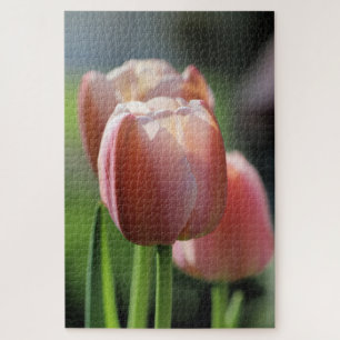 Puzzle Tulipes roses