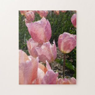 Puzzle Tulipes roses