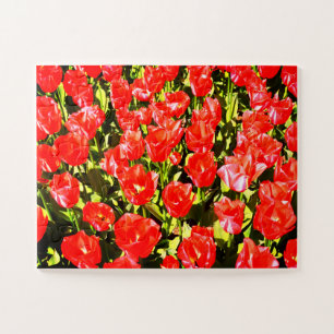 Puzzle Tulipes rouges
