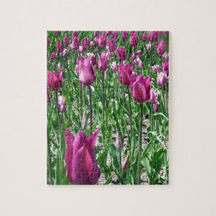 Puzzle Tulipes violettes du Regal