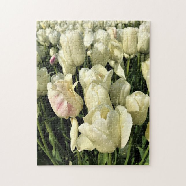 Puzzle Tulips blanches, Oregon (Vertical)