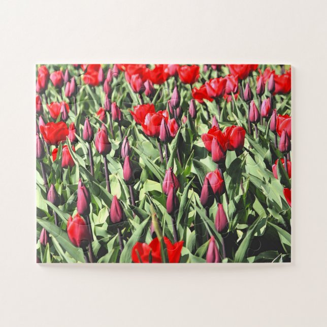 Puzzle Tulips rouges 30-pc (Horizontal)