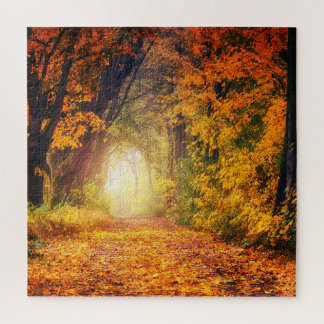 Puzzle Tunnel des arbres d'automne