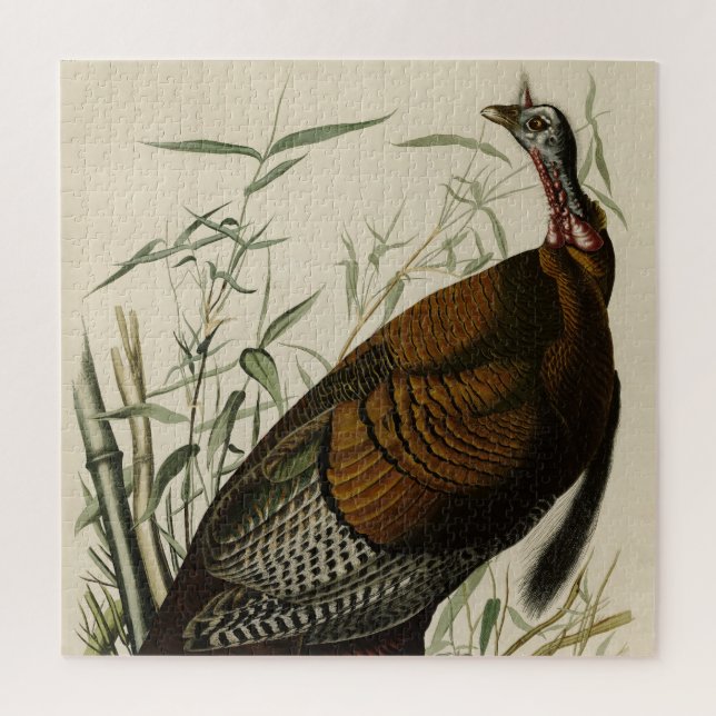 Puzzle Turquie sauvage (mâle) des oiseaux d'Amérique d'Au (Vertical)