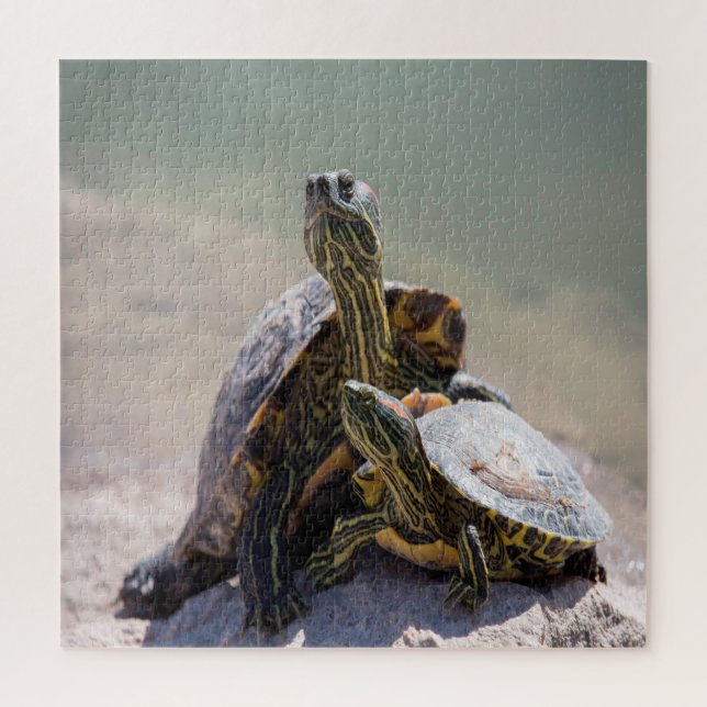 Puzzle Turtle Love (Vertical)