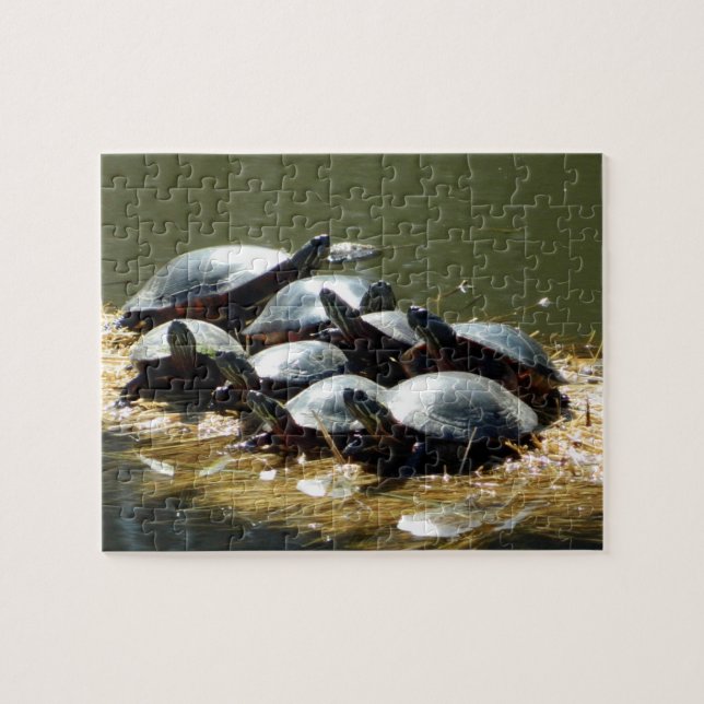 Puzzle Turtle Troup (Horizontal)