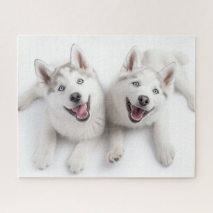 Puzzle Twin Huskies