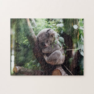 Puzzle Un Animal Sauvage De Koala Dormir Sur Un Bambou