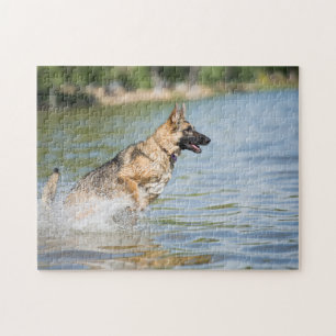 Puzzle Un Berger Allemand Saute Dans L'Eau