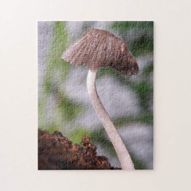 Puzzle Un champignon (Vertical)
