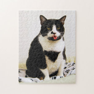 Puzzle Un chat de smoking colle sa langue