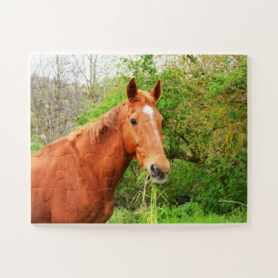 Puzzle Un cheval appelé Orion