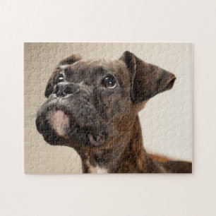 Puzzle Un chiot Brindle de boxeur recherchant