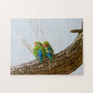 Puzzle Un couple de perruche sur une branche