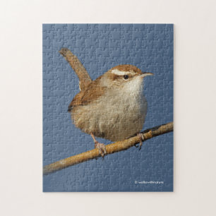 Puzzle Un curieux Wren de Bewick's Wren dans l'arbre