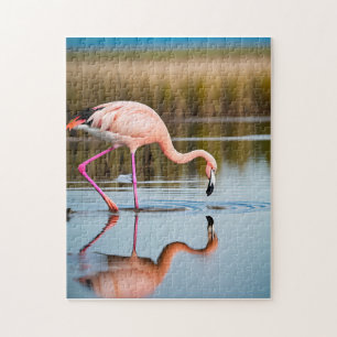 Puzzle Un flamant rose voyant son reflet dans l'eau