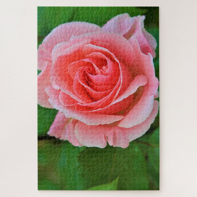Puzzle Un Grand Rose Simple Rose Rose Rose Élevé (Vertical)