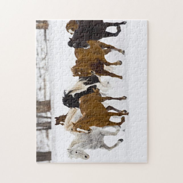 Puzzle Un hiver pittoresque de chevaux en course (Vertical)