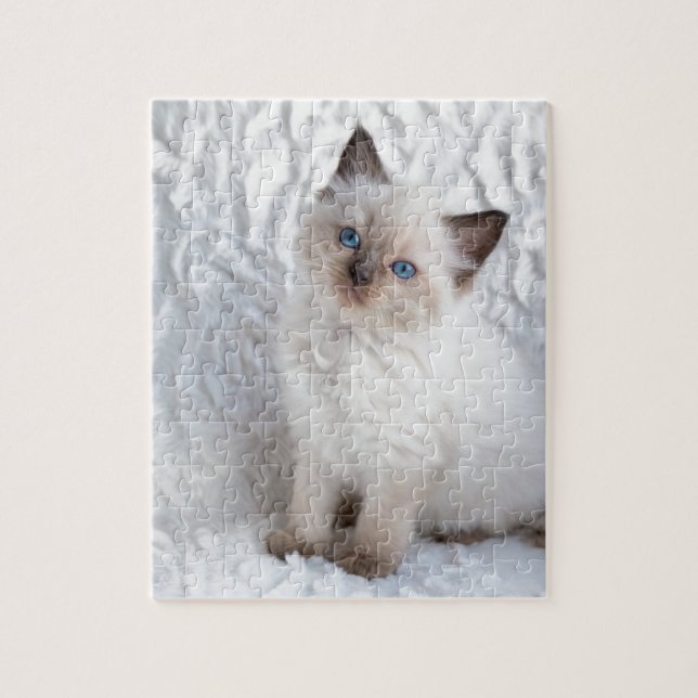 Puzzle Un jeune chat de ragdoll se reposant sur la (Vertical)