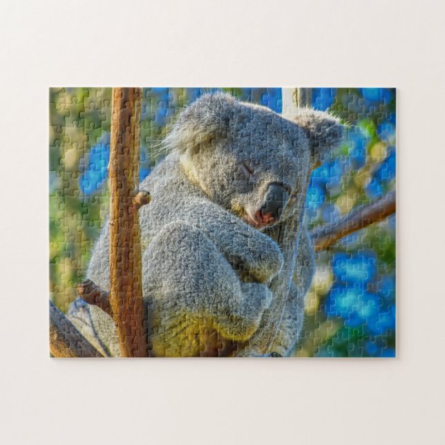 Puzzle Un Koala dormant tranquillement dans un arbre (Horizontal)